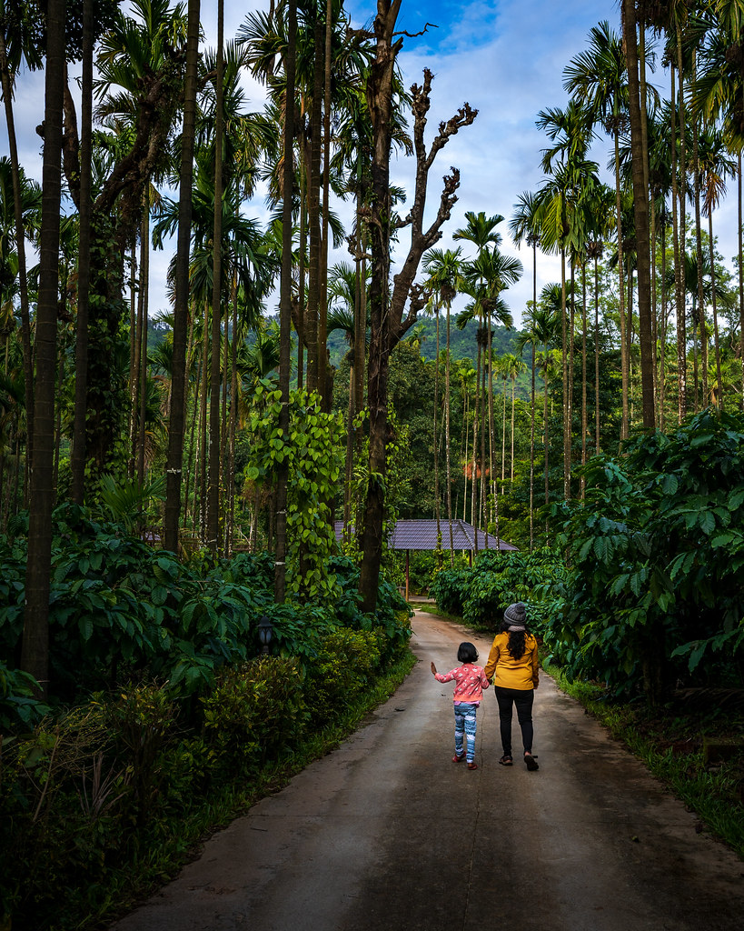 exterior view 4 exterior view 4