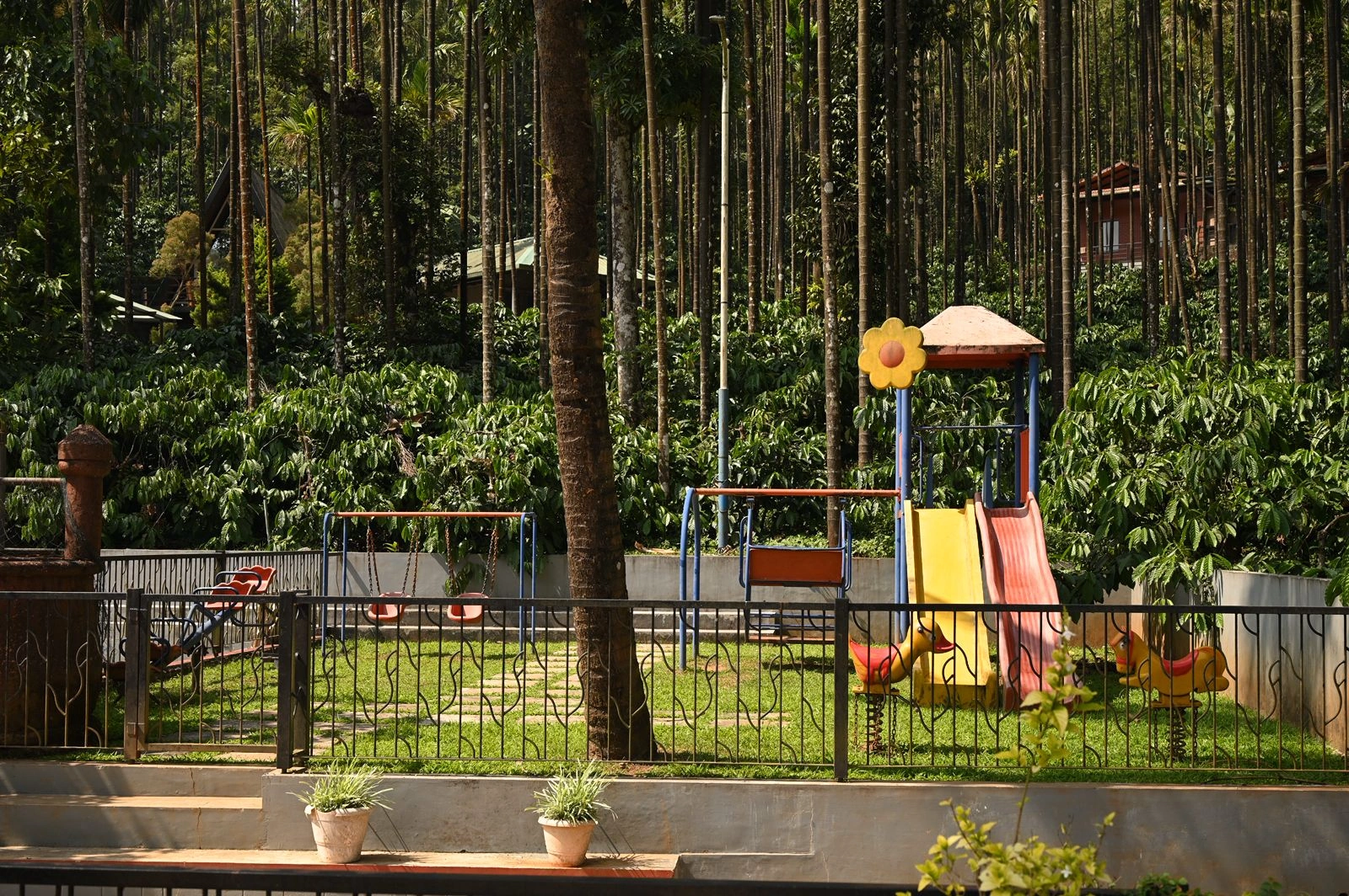 Kids Play