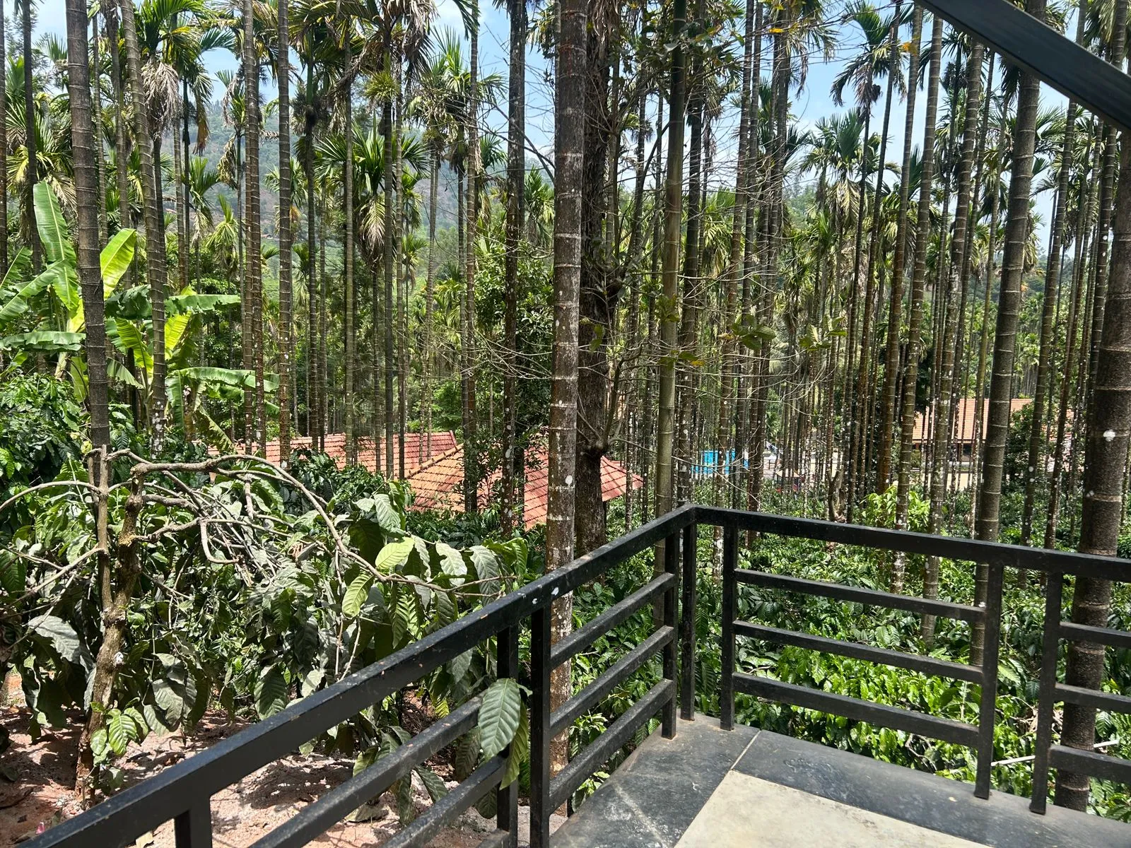 Cozy Cottage Stays at Coffee Gudda
